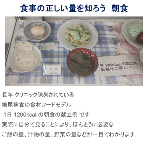 栃木県　小山市　糖尿病　甲状腺　内科　食事量