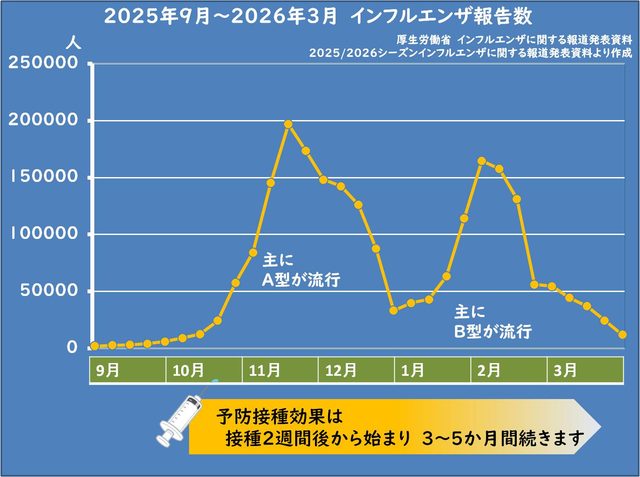 インフルエンザ、ワクチン接種、小山市、栃木県、内科、糖尿病内科