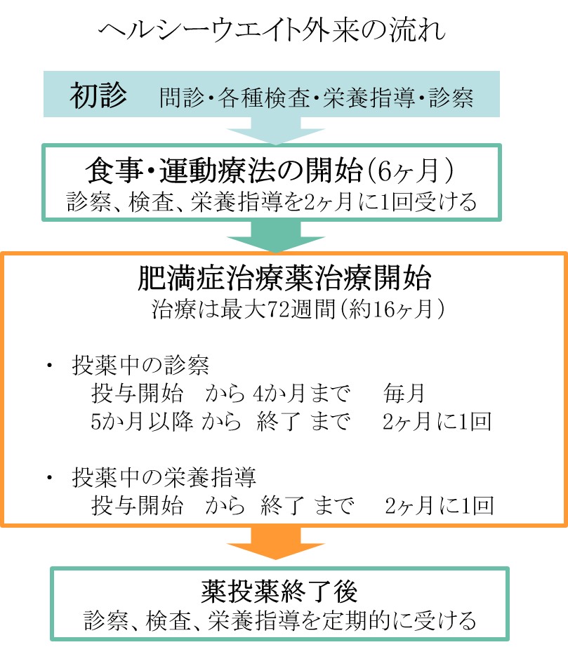ヘルシーウエイト外来の流れ図。初診で問診・各種検査・栄養指導・診察を行い、食事・運動療法を開始(6ヶ月間、診察・検査・栄養指導を2ヶ月に1回)。その後、肥満症治療薬による治療を開始(最大72週間・約16ヶ月。診察は投与開始から4か月までは毎月、5か月以降から終了までは2ヶ月に1回。栄養指導は投与開始から終了まで2ヶ月に1回)。薬の投薬終了後も、診察・検査・栄養指導を定期的に受けます。