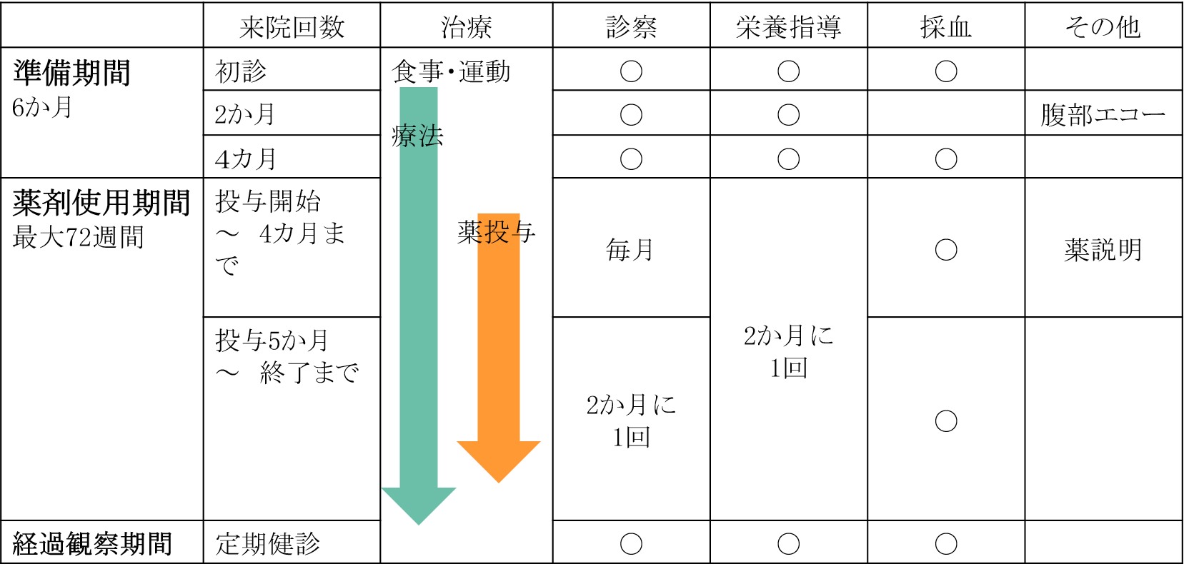 来院時の診療内容の一覧表。準備期間(6か月)は食事・運動療法を行い、初診・2か月・4カ月の来院時に診察と栄養指導、初診と4カ月時に採血、2か月時に腹部エコーを実施。薬剤使用期間(最大72週間)は薬投与を行い、診察は投与開始から4カ月までは毎月(採血・薬説明あり)、投与5か月から終了までは2か月に1回(採血あり)、栄養指導は2か月に1回。経過観察期間は定期健診として診察・栄養指導・採血を実施します。